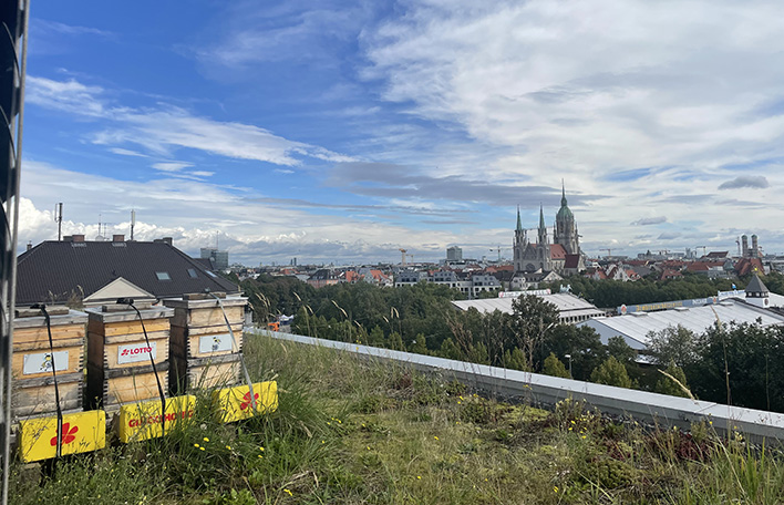 Glücksbienen auf dem Dach der Staatlichen Lotterie- und Spielbankverwaltung in München.